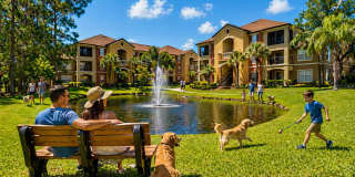 Gorgeous  Forest View, Wood Floors  1/1 condo for RENT @The Crest close to UCF. Gallery 12