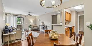 Woodspring Gallery 12