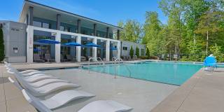 Willows at the University Gallery 1