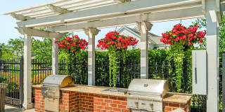 Albany Glen Gallery 24