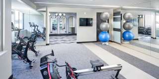 Eleven55 Ripley Gallery 26