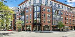 The Whit The Whit Gallery 1