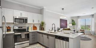 Elan at Bluffview Gallery 3