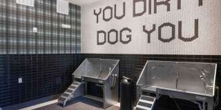 Bennet at BullStreet Gallery 23