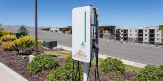 Triton Terrace Gallery 17