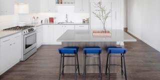 The Apartment Collection at Bay Meadows Gallery 59