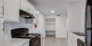 ReNew Brandon Gallery 6