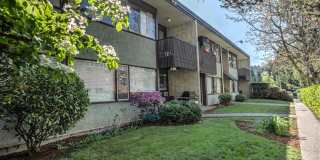 Terrace Apartments Gallery 4
