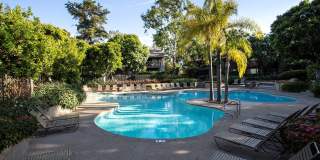 The Aspen South Coast Gallery 20