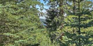 Treehouse-like atmosphere with peek-a-boo views of Lake Arrowhead Gallery 5