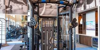 Domain Heights Gallery 17