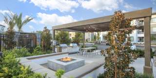 The Strand Gallery 37