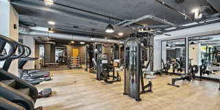 Aster & Links Gallery 51