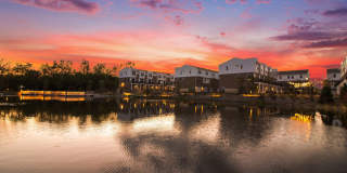 The Residences at Sakura Novi Gallery 62