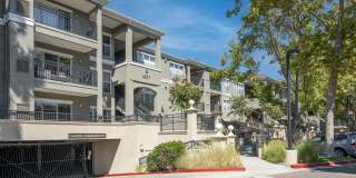 The Carlyle Gallery 25