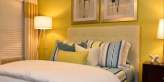 Icon Lakewood Gallery 11