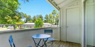 The Grove Luxury Apartments Gallery 17