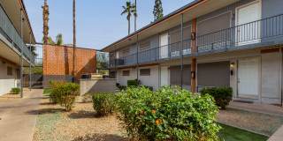 Decco 109 Gallery 19