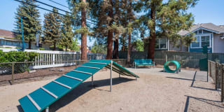 The Hayden Apartments Gallery 3