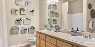 Teravista Ridge Gallery 6