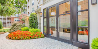 Rosslyn Heights Gallery 85