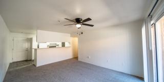 Kachina Springs Gallery 15