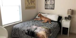 The Quarry Apartments Gallery 47