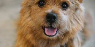 Huntington Pointe III Gallery 27