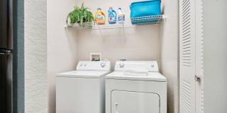 Vista Lake Ned Gallery 31