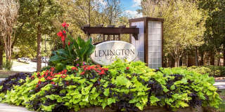 Lexington Farms Gallery 32