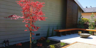 2933 Carmel Street Gallery 25