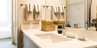 Janus Janus Gallery 13