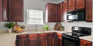 11244 Aliyah Drive Gallery 12
