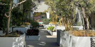 Venice on Rose Gallery 19