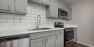 Oak Forest Gallery 17