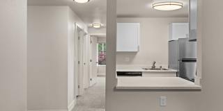 Bellamy Park Gallery 10