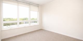 The Elysian Gallery 267