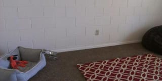 Wallington Plaza Gallery 3