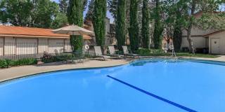 Palm Mission Village & Estates Gallery 39