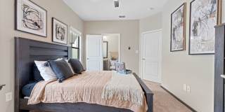 Heron on Hausman Gallery 42