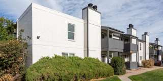 Ascent at Havana Gallery 23