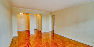 Shaker Collection Shaker Collection Gallery 11