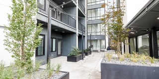 The Charli The Charli Gallery 6