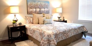 PURE St. Peters Apartments Gallery 7