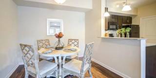 Standard at White House Gallery 1