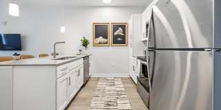 The Stella Gallery 1