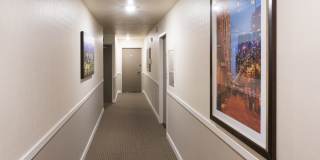 The Somerset Gallery 14