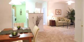 The Reflections of West Creek Gallery 2