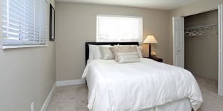 The Harrison Gallery 12