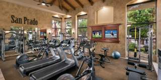 San Prado by Mark-Taylor Gallery 10